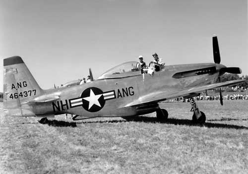 P51H464377500.jpg